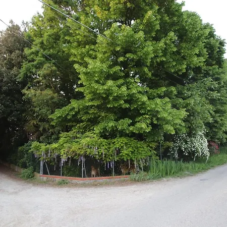 La Casa Nel Bosco Bed & Breakfast Savio di Ravenna