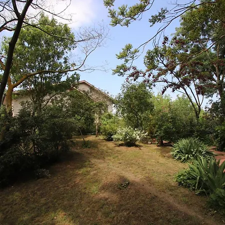 La Casa Nel Bosco 3* Savio di Ravenna