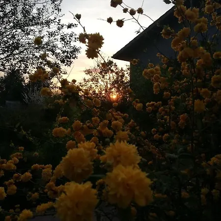 La Casa Nel Bosco Bed & Breakfast