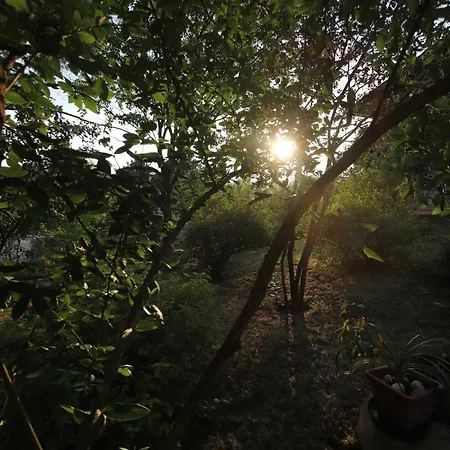 La Casa Nel Bosco Bed & Breakfast Savio di Ravenna