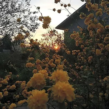La Casa Nel Bosco Frühstückspension