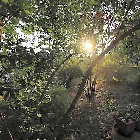 La Casa Nel Bosco Frühstückspension