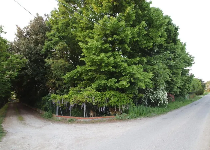La Casa Nel Bosco Oda ve Kahvaltı Savio di Ravenna