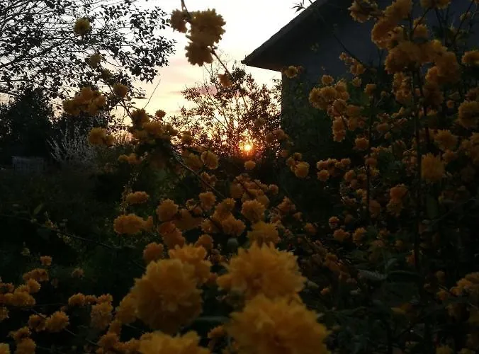 La Casa Nel Bosco Bed & Breakfast