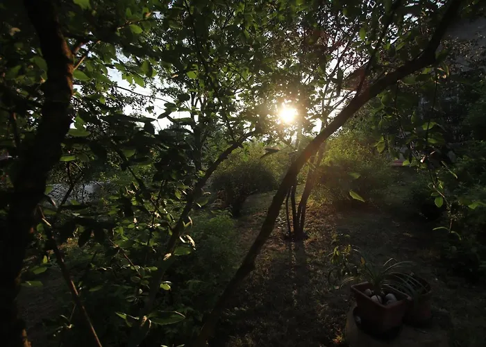La Casa Nel Bosco Oda ve Kahvaltı Savio di Ravenna